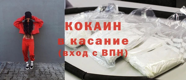 дживик Мегион