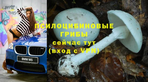 прущие грибы Навашино