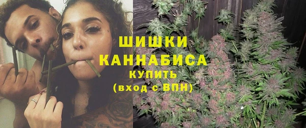 дживик Мегион
