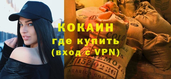 дживик Мегион