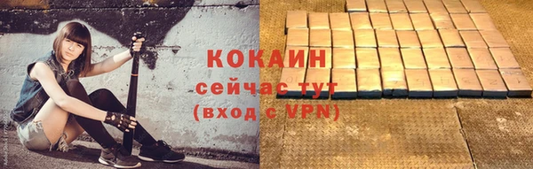 дживик Мегион