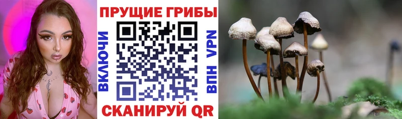 Купить  Лабинск  Псилоцибиновые грибы мухоморы 